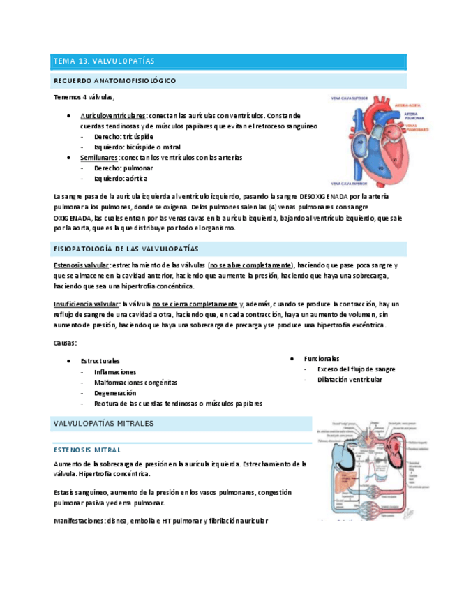 Miniatura del documento Tema-13-fisiopatologia.pdf