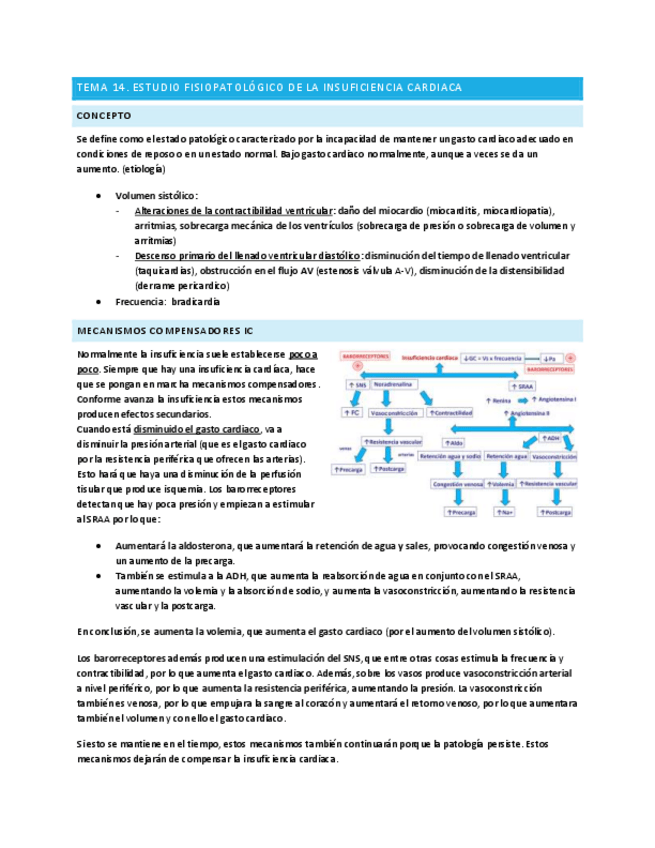 Miniatura del documento Tema-14-fisiopatologia.pdf