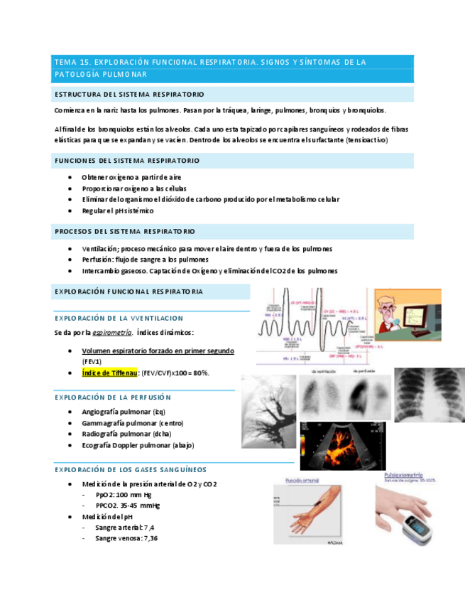 Miniatura del documento Tema-15-fisiopatologia.pdf