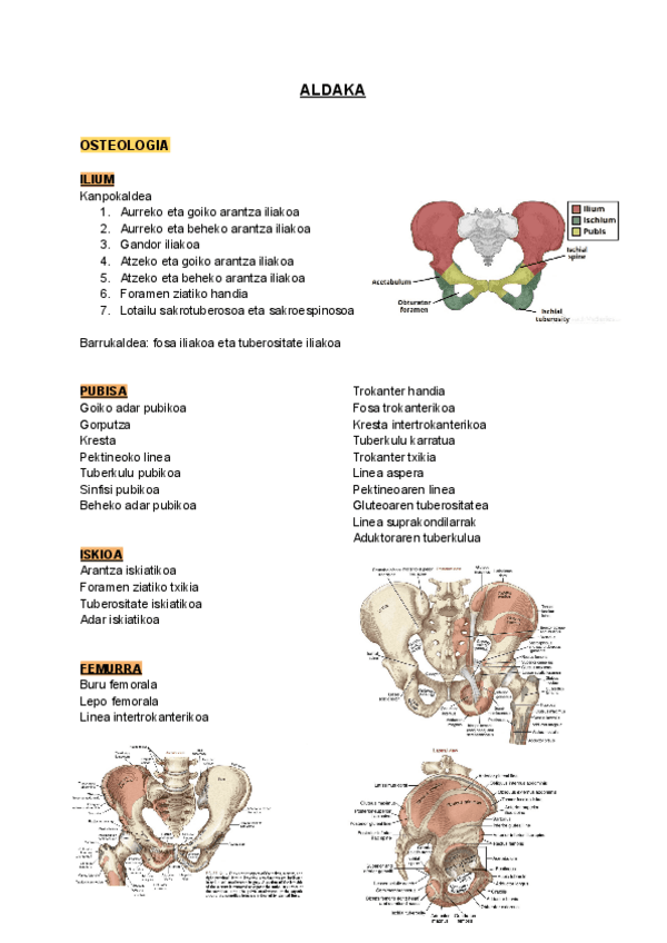 Miniatura del documento ALDAKA-ETA-BELAUNA.pdf