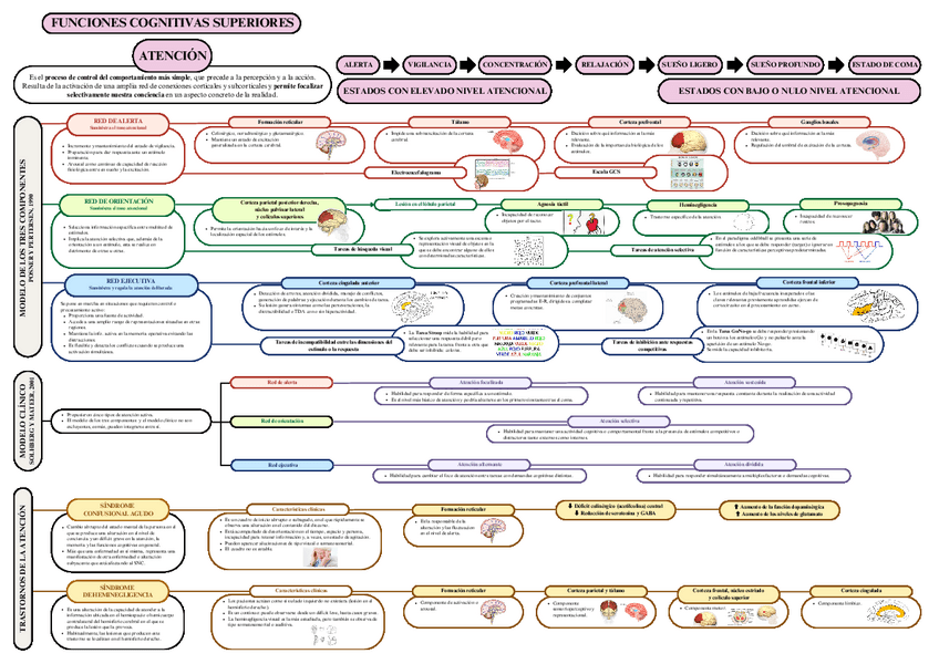 Miniatura del documento UC1_Psicofisiología_VIU.pdf