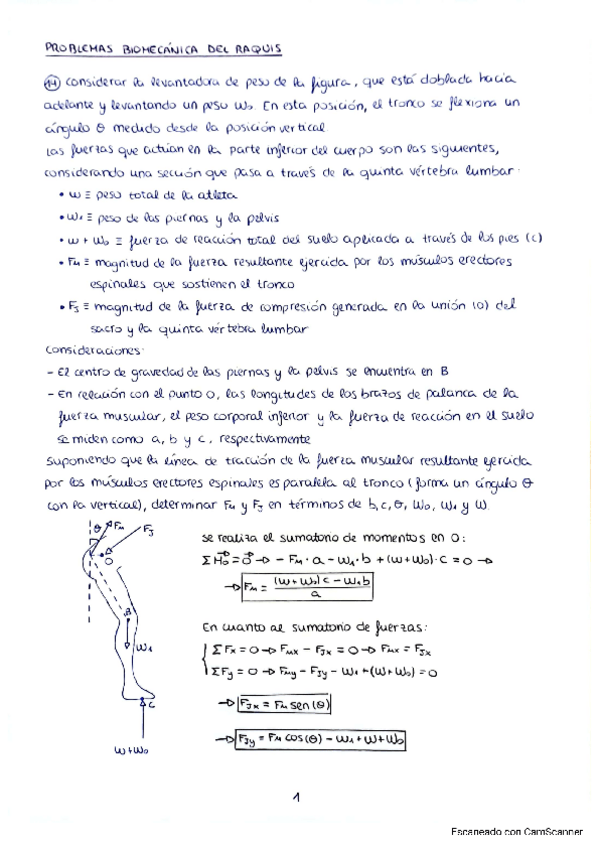 Miniatura del documento Problemas biomecánica del raquis.pdf