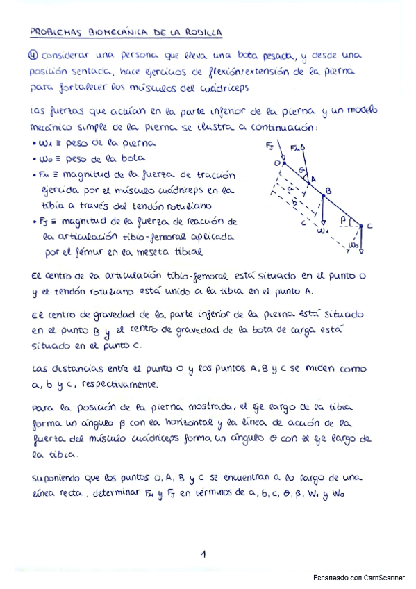 Miniatura del documento Problemas biomecánica de la rodilla.pdf