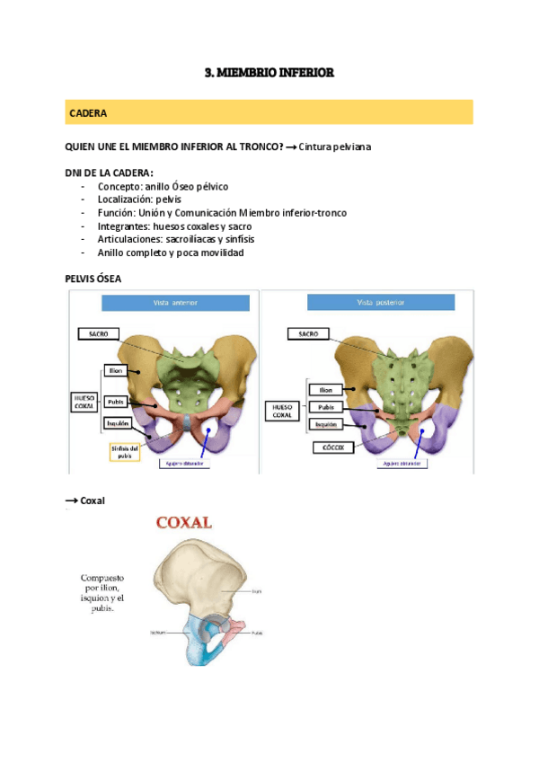 Miniatura del documento parte-inferior.pdf