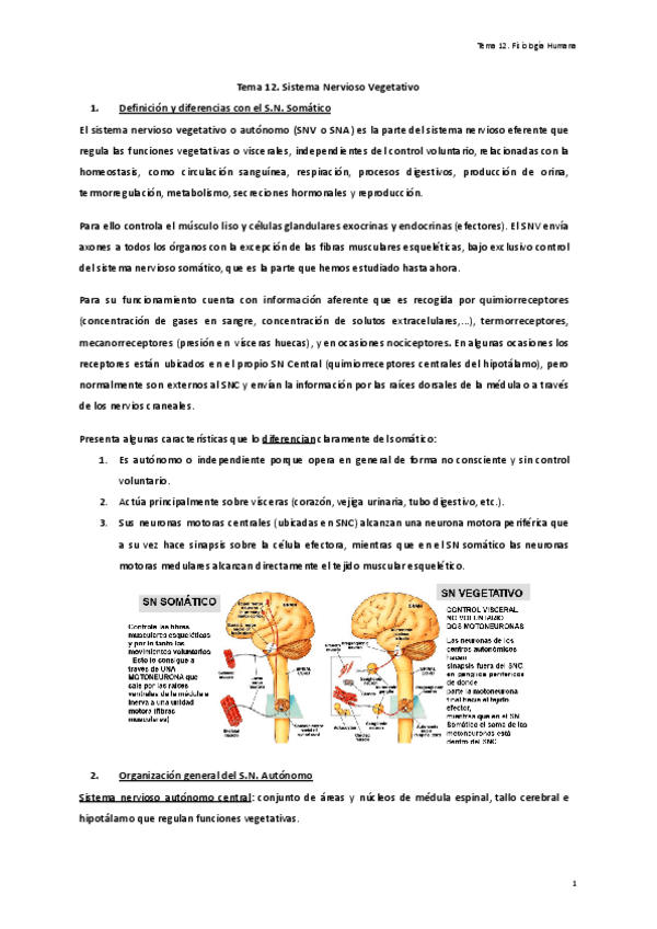 Miniatura del documento Tema-12.-Sistema-nervioso-vegetativo.pdf