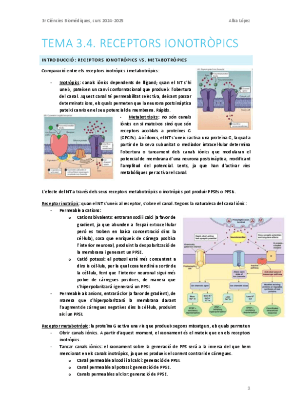 Miniatura del documento Tema-3.4.-Receptors-inotropics.pdf