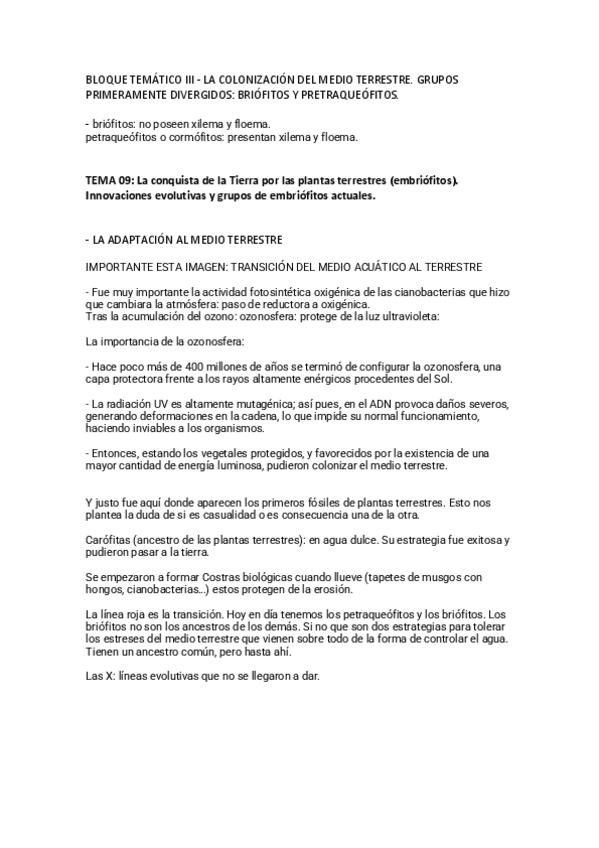 Miniatura del documento TEMA-9.pdf