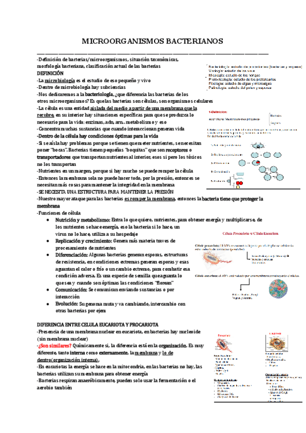 Miniatura del documento TEMA-2-MICRO-24-25.pdf