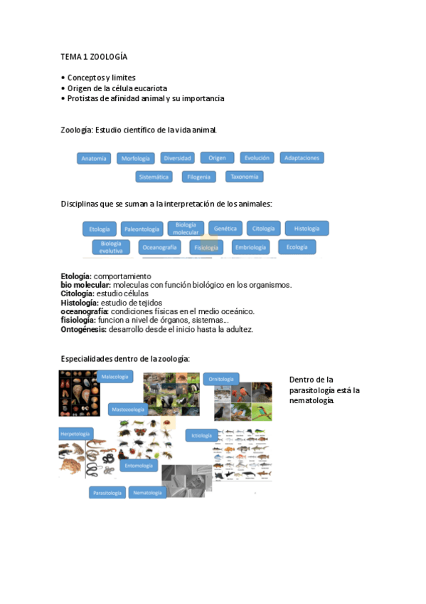 Miniatura del documento TEMA-1-ZOOLOGIA.pdf