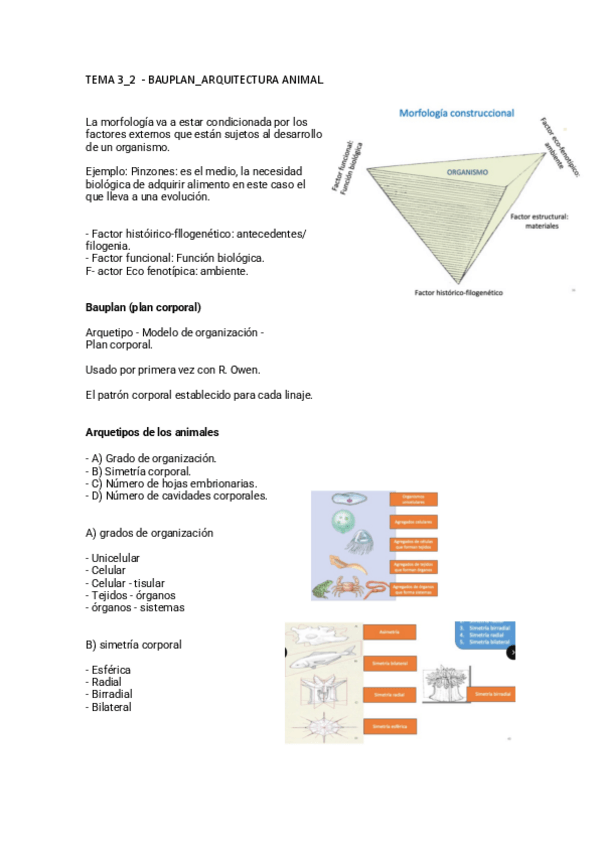 Miniatura del documento TEMA-32.pdf