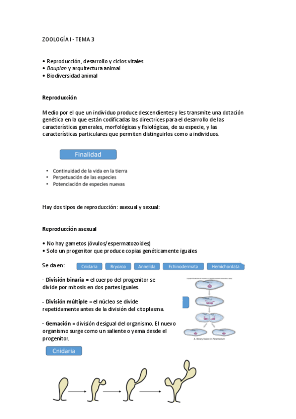 Miniatura del documento TEMA-3.pdf