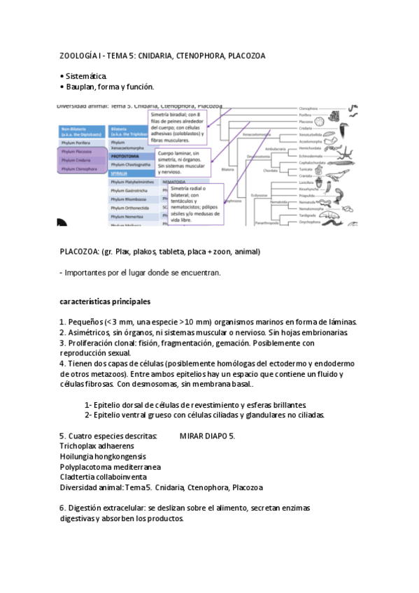 Miniatura del documento TEMA-51.pdf