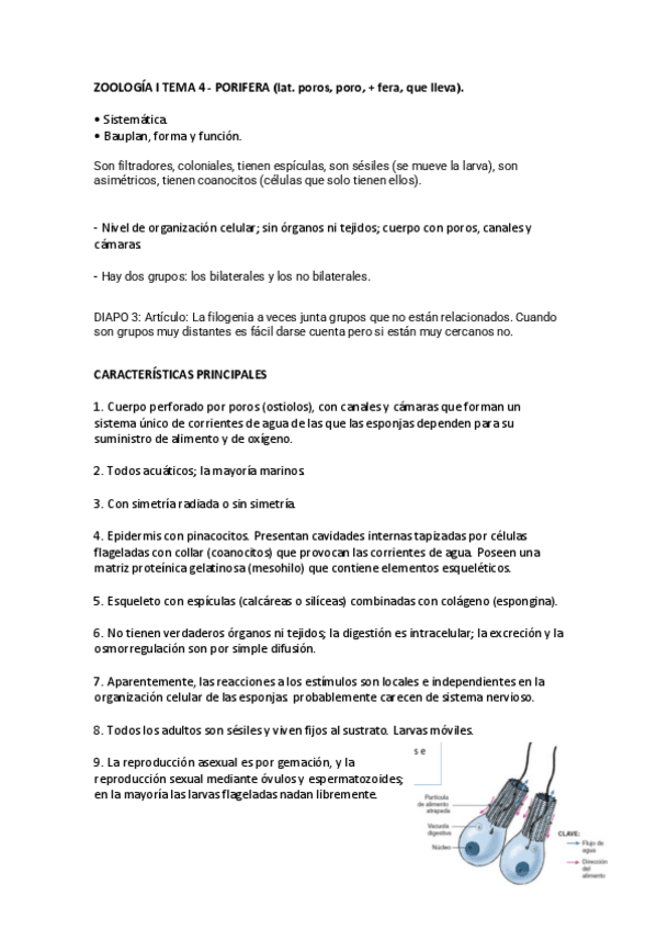 Miniatura del documento ZOOLOGIA-I-TEMA-4.pdf