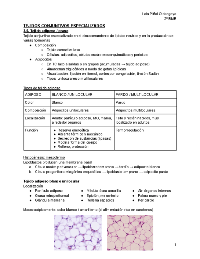 Miniatura del documento Tema-3-tejidos-conjuntivos-especializados.pdf