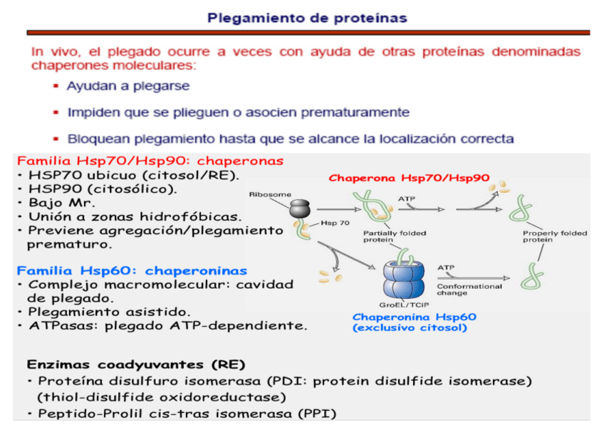 Miniatura del documento clase-5NHD.pdf