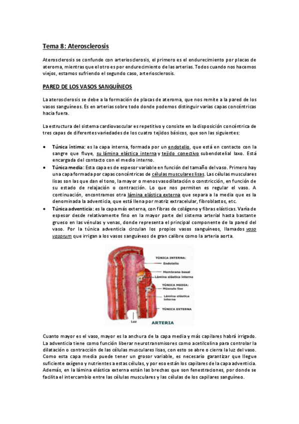 Miniatura del documento APUNTES-Tema-9.pdf