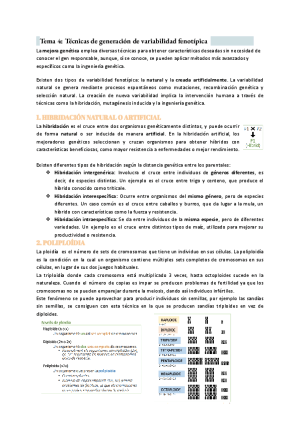 Miniatura del documento T4-tecniques-de-generacio-de-variabilitat-fenotipica.pdf