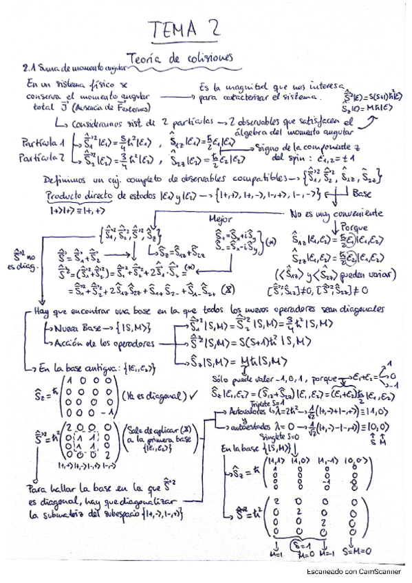 Miniatura del documento ESQUEMAS-TEMA-2.pdf