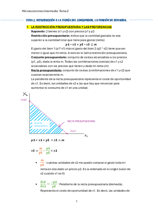 Miniatura del documento TEMA-2.pdf