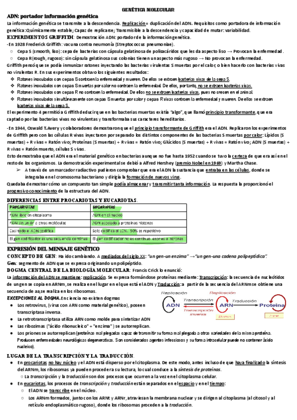 Miniatura del documento GENATICA-MOLECULAR-1.pdf
