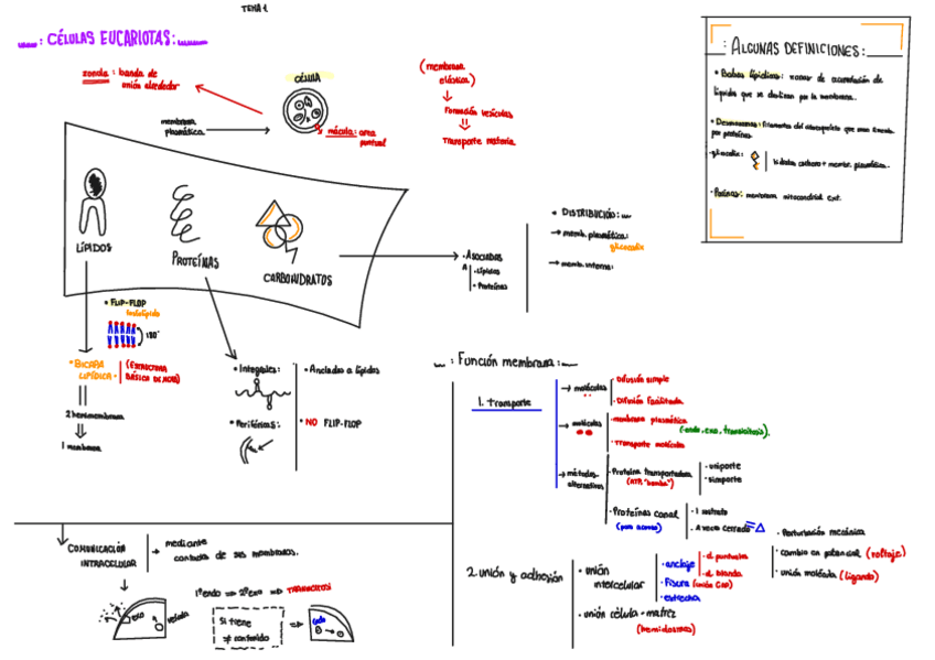 Miniatura del documento BIOLOGIA-CELULAR.pdf