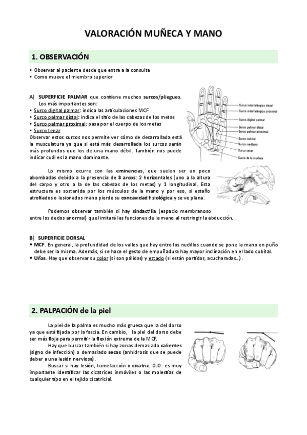 Miniatura del documento PRACTICA-Mano-y-muneca.pdf