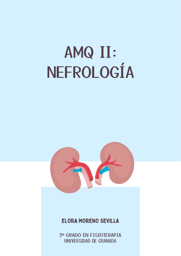 Miniatura del documento Apuntes-AMQ-Nefrologia.pdf