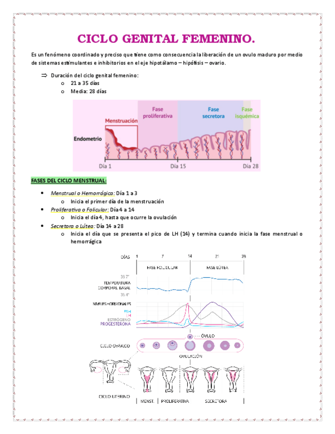 Miniatura del documento CICLO-GENITAL-FEMENINO.pdf