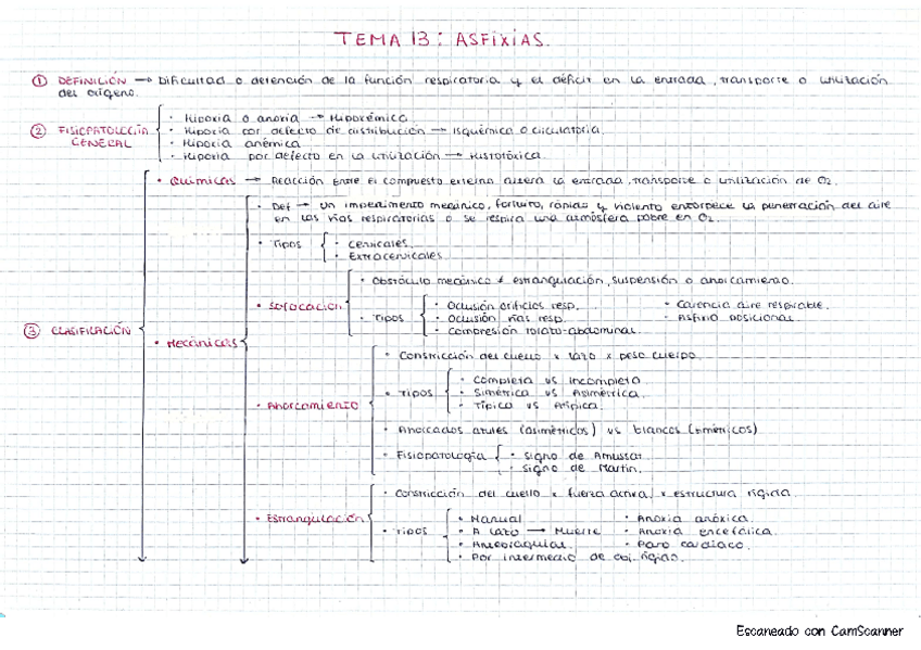 Miniatura del documento Medicina.-Tema-13.pdf