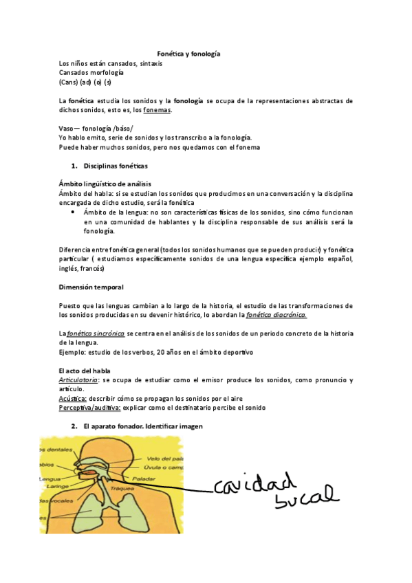 Miniatura del documento fonetica-y-fonologia-Lengua-Espanola.pdf