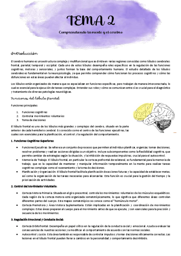 Miniatura del documento TEMA-2-neuropsicologia.pdf