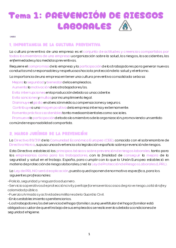 Miniatura del documento T.1-Prevencion-de-riesgos-laborales-1.pdf