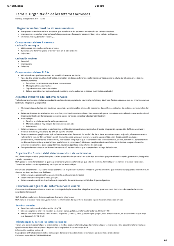 Miniatura del documento TEMA-2.-ORGANIZACION-DE-LOS-SISTEMAS-NERVIOSOS-T2.pdf