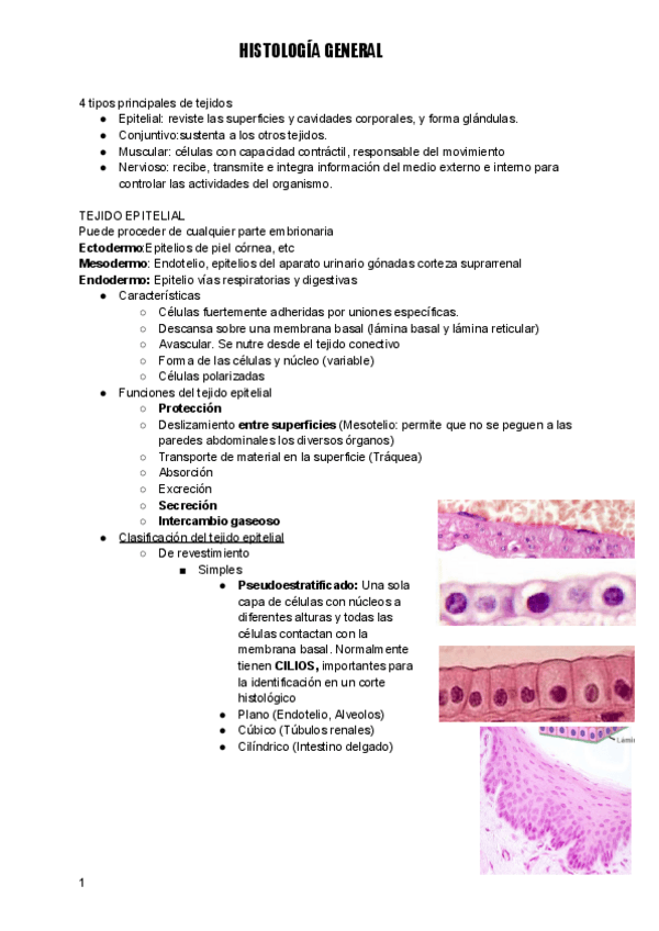 Miniatura del documento APUNTES-PRIMER-PARCIAL-HISTOLOGIA-GENERAL.pdf