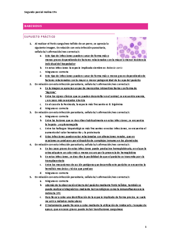 Miniatura del documento Segundo-molina.pdf