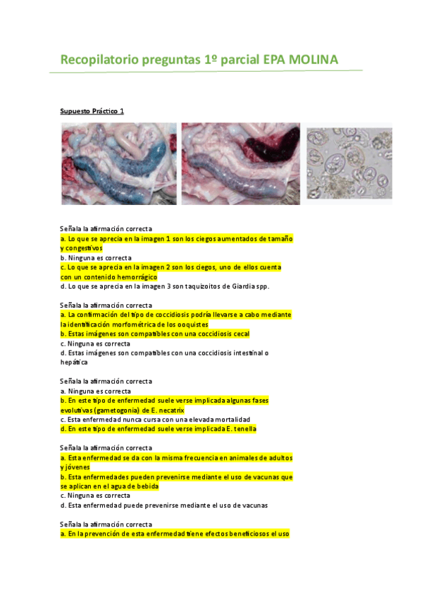 Miniatura del documento Recopilatorio-molina.pdf