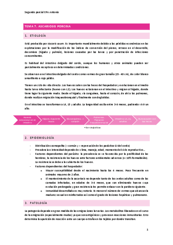 Miniatura del documento Segundo-parcial-antonio-ruiz.pdf