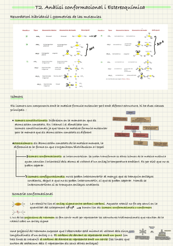 Miniatura del documento T2.-Analisi-Conformacional-i-Estereoquimica-1.pdf