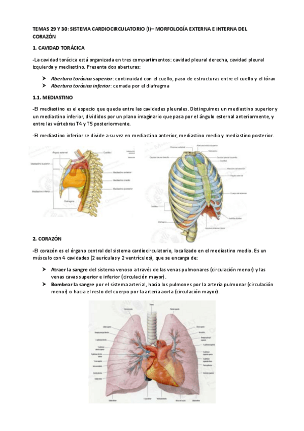 Miniatura del documento TEMA-29-Y-30.pdf