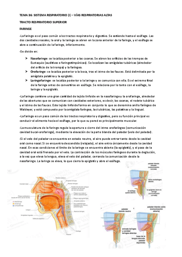 Miniatura del documento TEMA-36.pdf