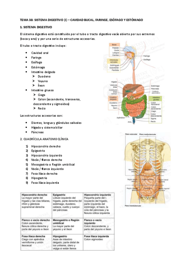 Miniatura del documento TEMA-38.pdf