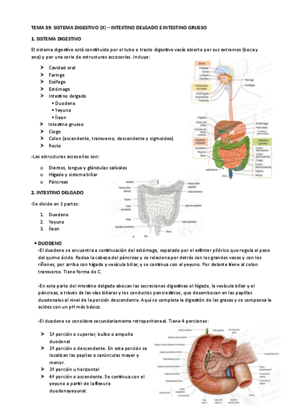 Miniatura del documento TEMA-39.pdf