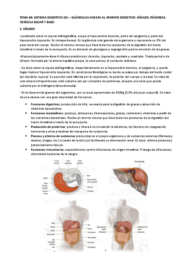 Miniatura del documento TEMA-40.pdf