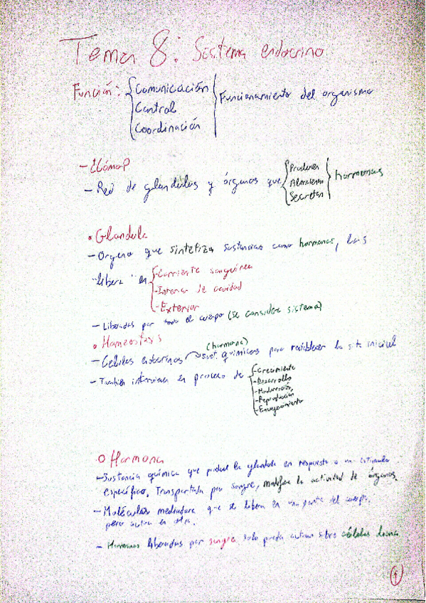 Miniatura del documento Tema-8-Sistema-endocrino.pdf