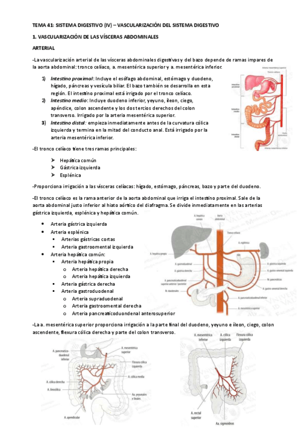 Miniatura del documento TEMA-41.pdf