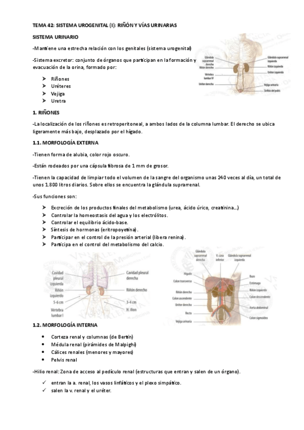Miniatura del documento TEMA-42.pdf