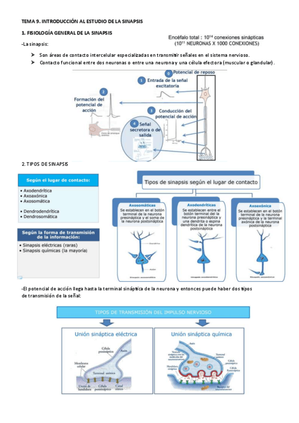 Miniatura del documento TEMA-9.pdf