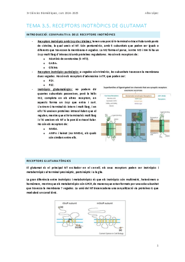 Miniatura del documento Tema-3.5.-Receptors-inotropics-de-glutamat.pdf