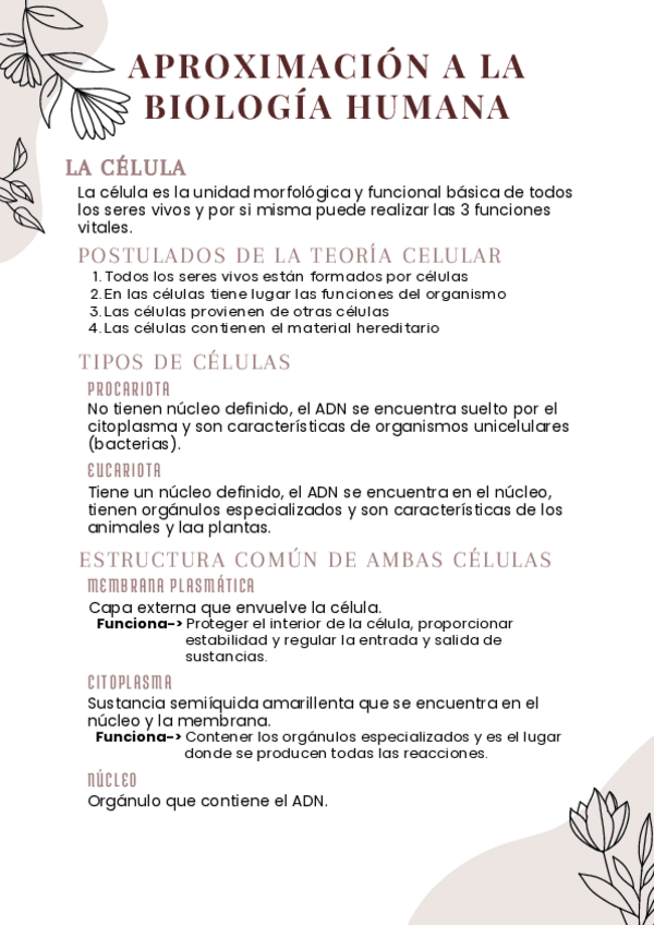 Miniatura del documento T2 TBE - Aproximacion a la Biologia Humana.pdf