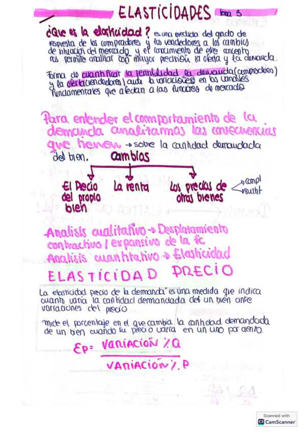Miniatura del documento TEMA 3 ELASTICIDAD.pdf